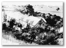COED-Y-FOEL [Isaf], 1888
